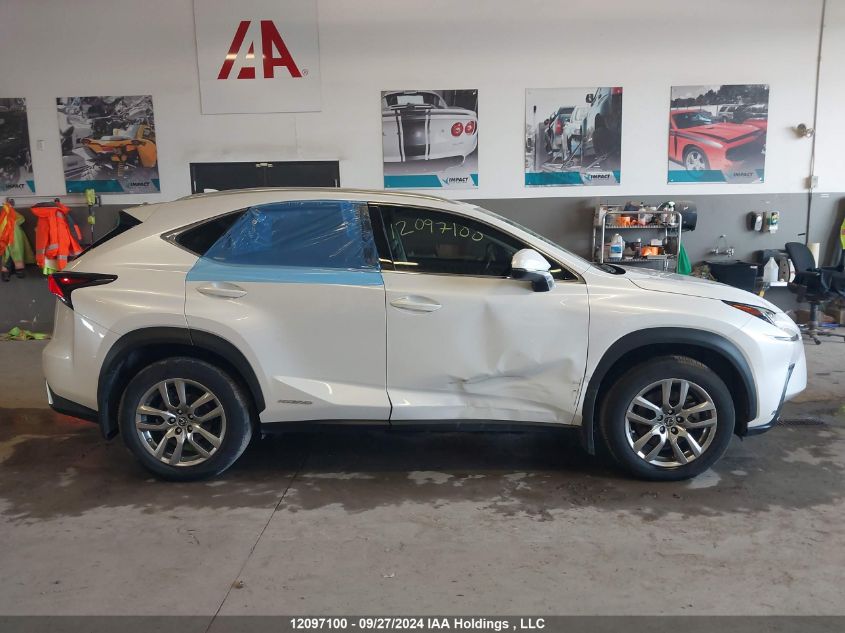 2021 Lexus Nx 300H VIN: JTJGJRDZ2M5014447 Lot: 12097100