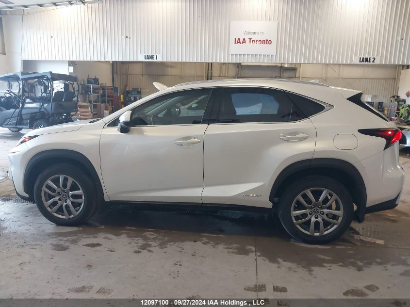 2021 Lexus Nx 300H VIN: JTJGJRDZ2M5014447 Lot: 12097100