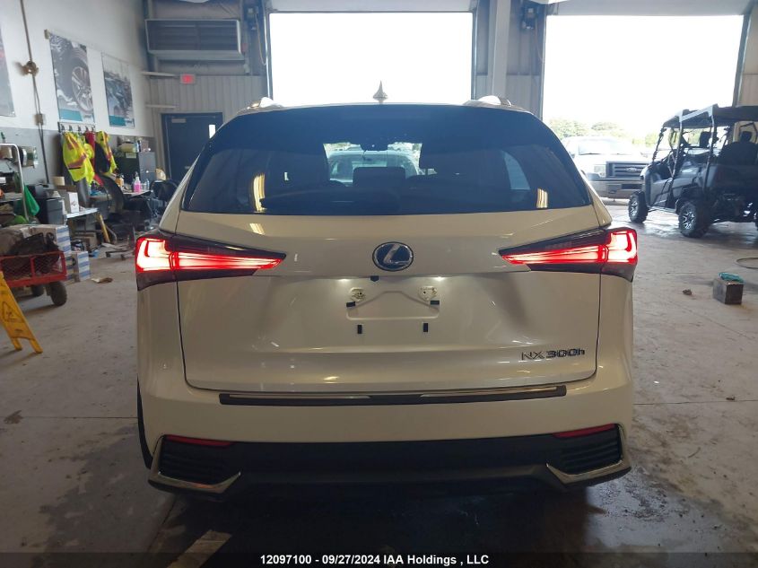 2021 Lexus Nx 300H VIN: JTJGJRDZ2M5014447 Lot: 12097100