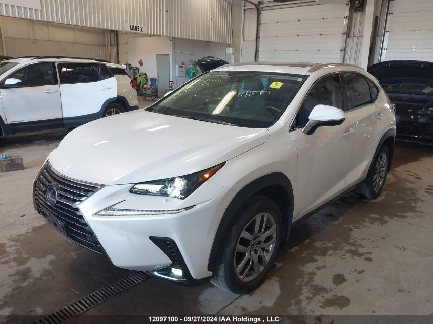 2021 Lexus Nx 300H VIN: JTJGJRDZ2M5014447 Lot: 12097100