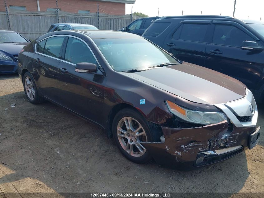 2010 Acura Tl VIN: 19UUA8F20AA800848 Lot: 12097445