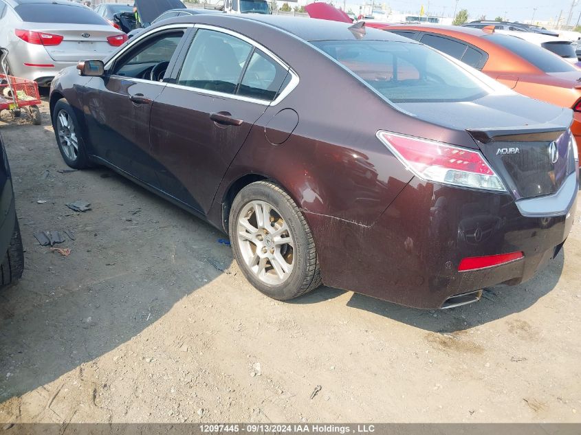 2010 Acura Tl VIN: 19UUA8F20AA800848 Lot: 12097445