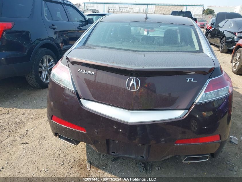 2010 Acura Tl VIN: 19UUA8F20AA800848 Lot: 12097445