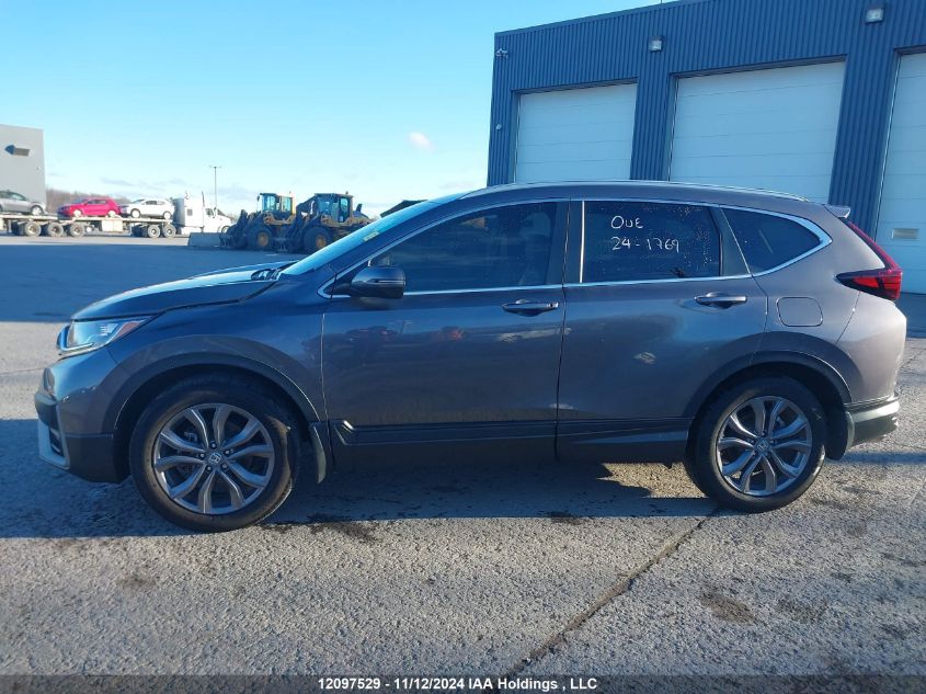 2020 Honda Cr-V VIN: 2HKRW2H42LH207179 Lot: 12097529