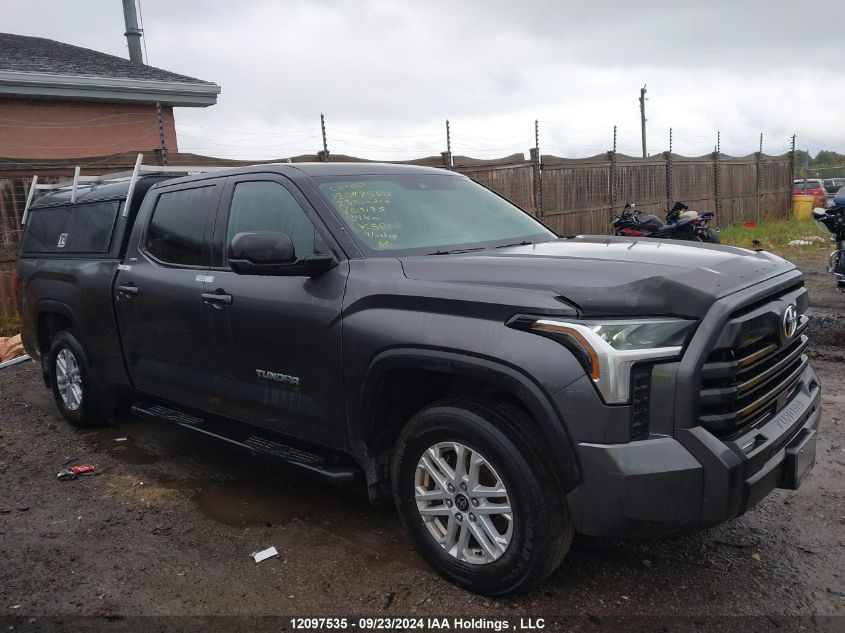 2023 Toyota Tundra Sr5 VIN: 5TFLA5EC8PX019195 Lot: 12097535