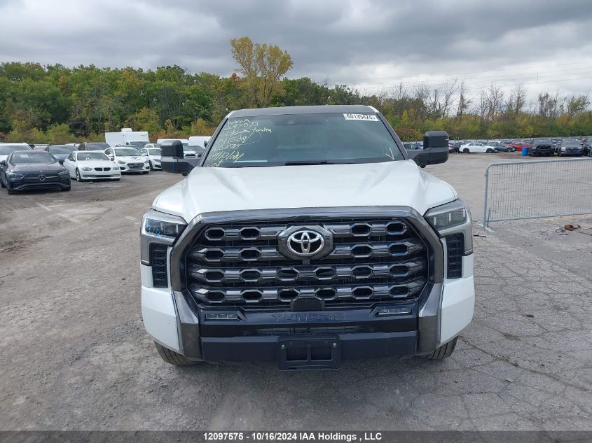 2022 Toyota Tundra Platinum VIN: 5TFNA5DB7NX041509 Lot: 12097575