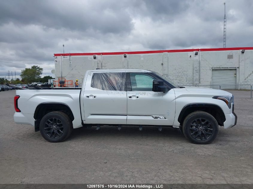 2022 Toyota Tundra Platinum VIN: 5TFNA5DB7NX041509 Lot: 12097575