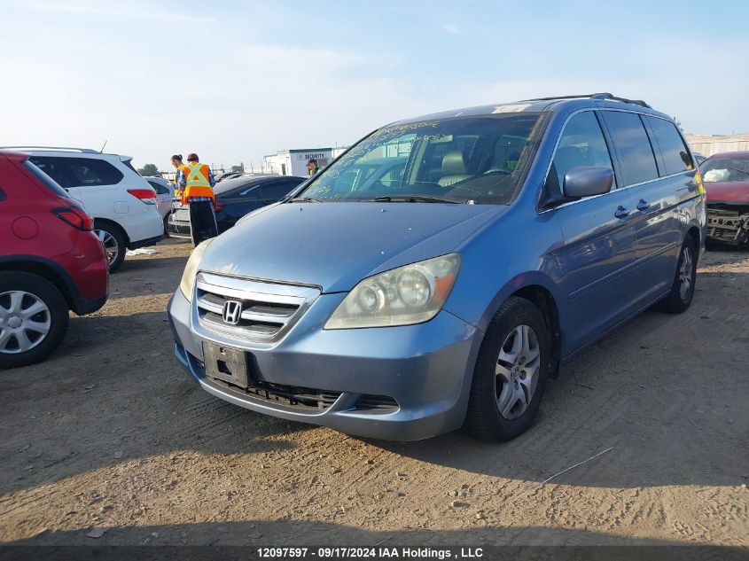 2006 Honda Odyssey VIN: 5FNRL386X6B513209 Lot: 12097597