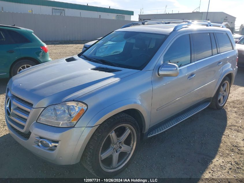 2009 Mercedes-Benz Gl-Class VIN: 4JGBF86E99A496170 Lot: 12097731