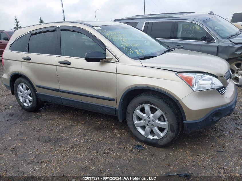 2007 Honda Cr-V VIN: 5J6RE48797L815625 Lot: 12097927