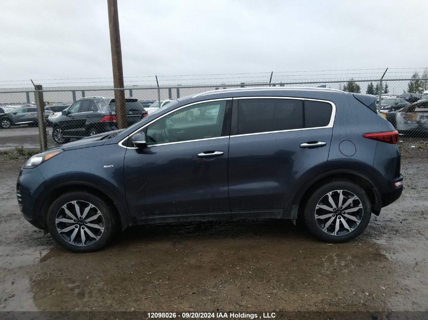 2019 Kia Sportage VIN: KNDPNCACXK7520470 Lot: 12098026