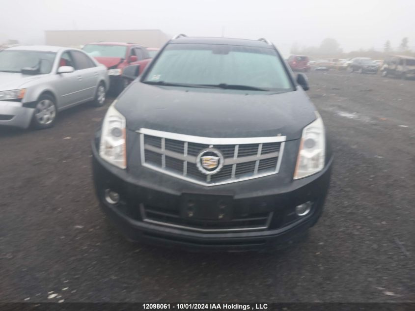 2012 Cadillac Srx Luxury Collection VIN: 3GYFNAE33CS503114 Lot: 12098061