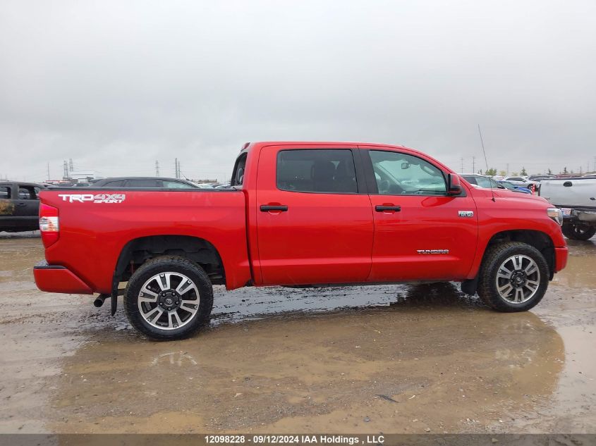 2019 Toyota Tundra Crewmax Sr5/Crewmax Trd Pro VIN: 5TFDY5F11KX847580 Lot: 12098228