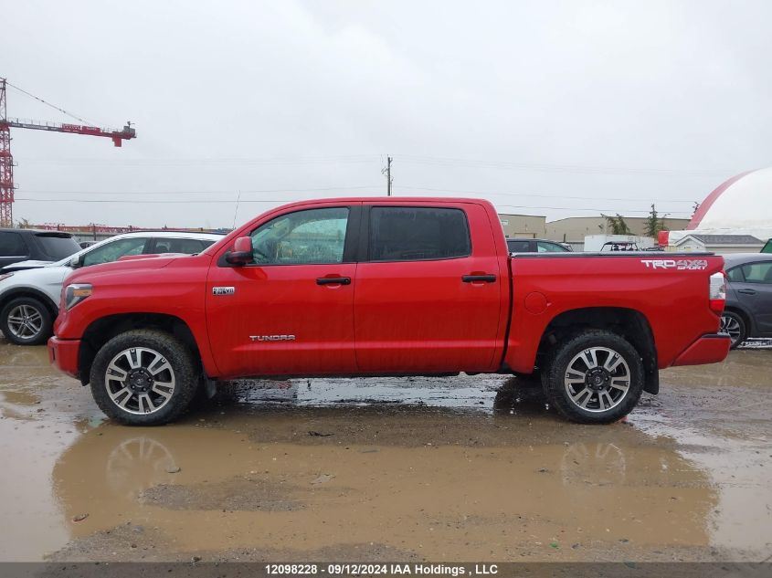 2019 Toyota Tundra Crewmax Sr5/Crewmax Trd Pro VIN: 5TFDY5F11KX847580 Lot: 12098228