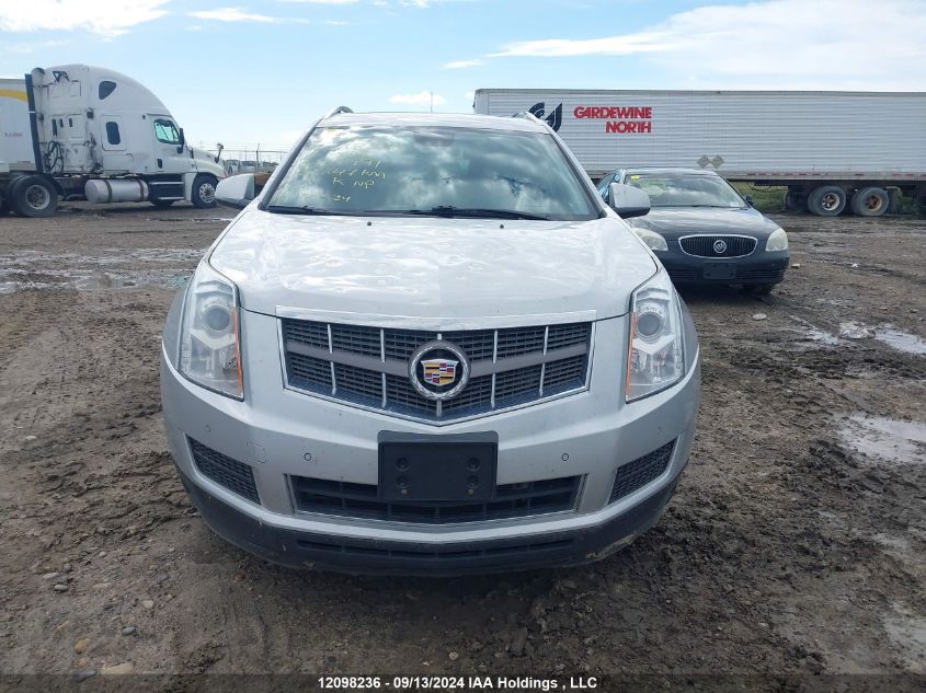 2011 Cadillac Srx Luxury Collection VIN: 3GYFNDEY9BS515991 Lot: 12098236