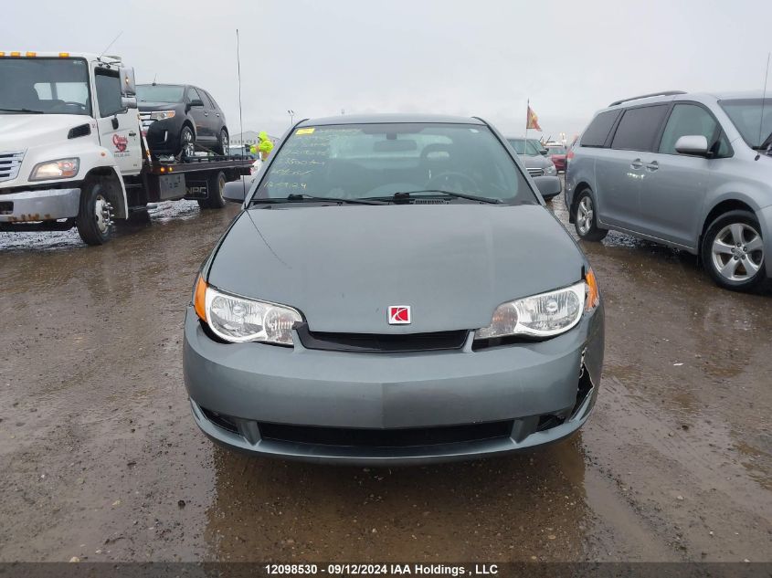 2006 Saturn Ion Quad Coupe VIN: 1G8AN15FX6Z209396 Lot: 12098530