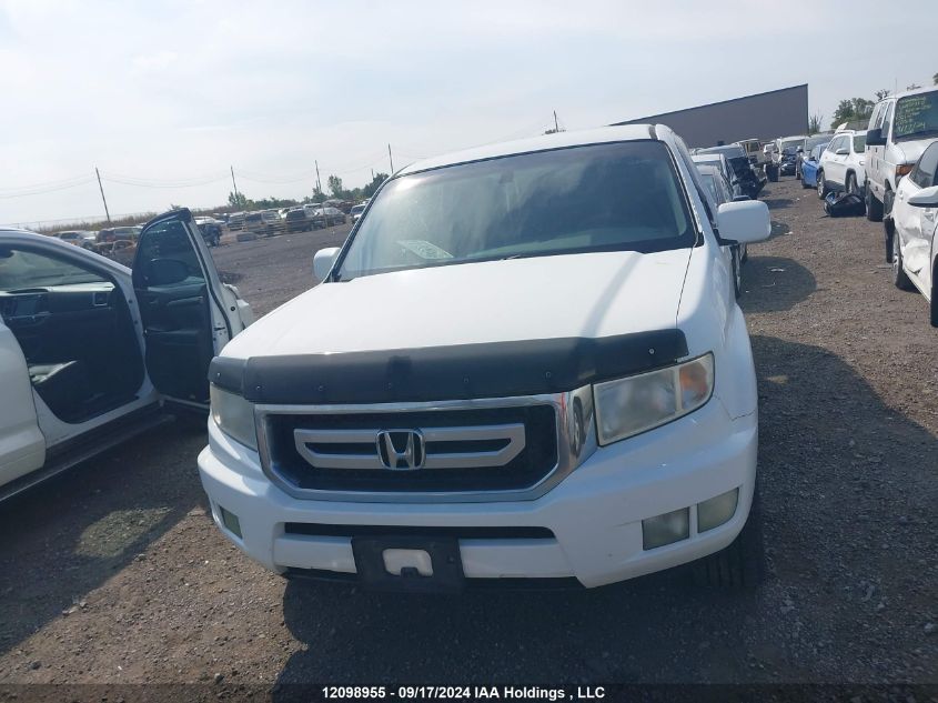 2010 Honda Ridgeline Rtl VIN: 5FPYK1F53AB501304 Lot: 12098955