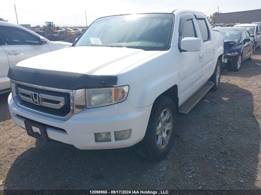 2010 Honda Ridgeline Rtl VIN: 5FPYK1F53AB501304 Lot: 12098955