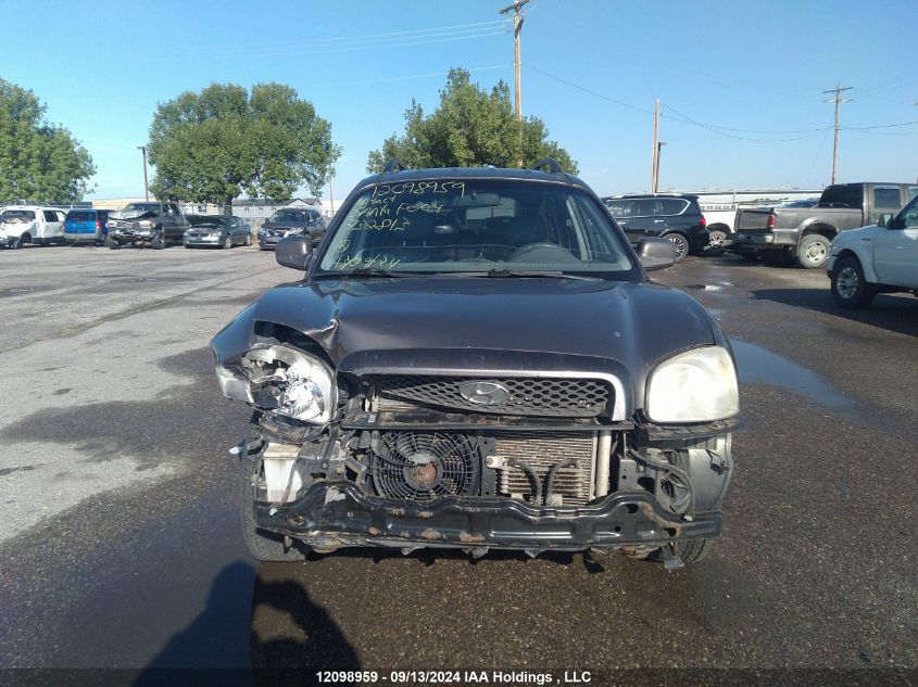 2004 Hyundai Santa Fe VIN: KM8SB73D04U732813 Lot: 12098959