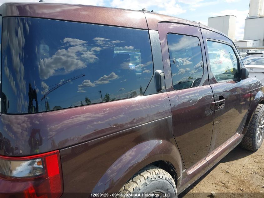 2007 Honda Element VIN: 5J6YH17917L800816 Lot: 12099129