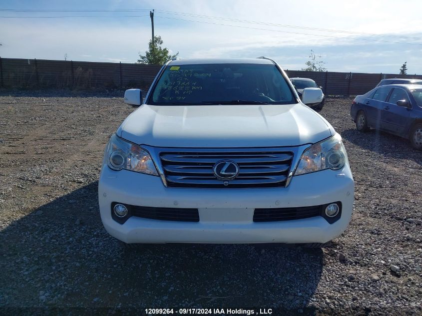 2010 Lexus Gx Premium VIN: JTJJM7FXXA5013667 Lot: 12099264