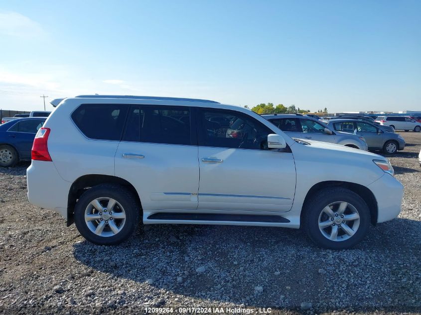 2010 Lexus Gx Premium VIN: JTJJM7FXXA5013667 Lot: 12099264