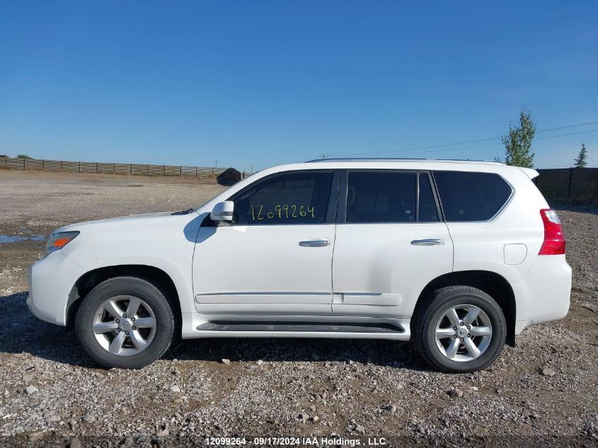 2010 Lexus Gx Premium VIN: JTJJM7FXXA5013667 Lot: 12099264