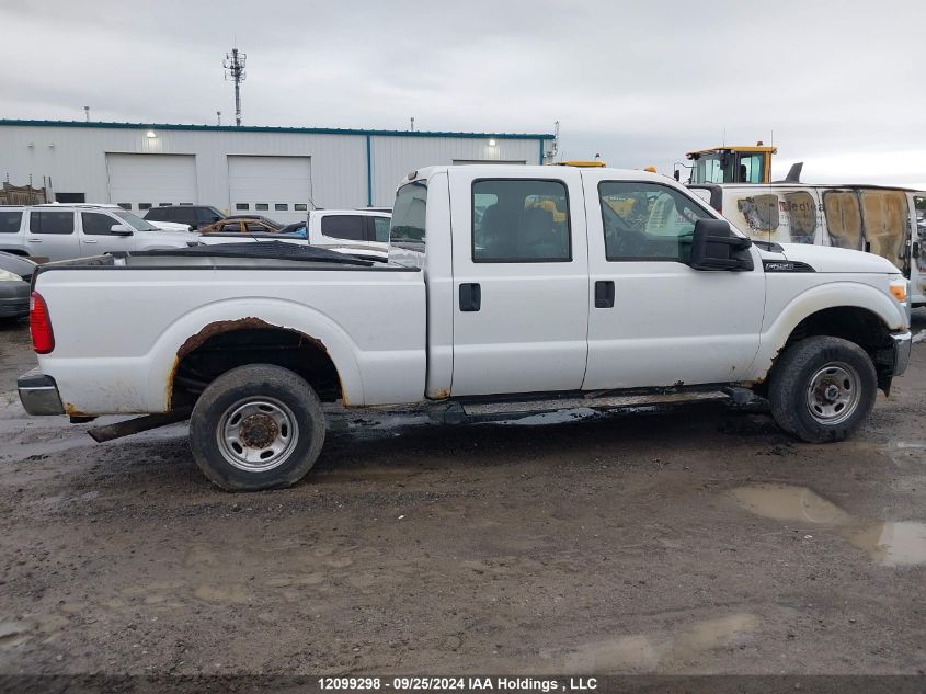 2011 Ford F250 Super Duty VIN: 1FTDW2B64BEB27613 Lot: 12099298