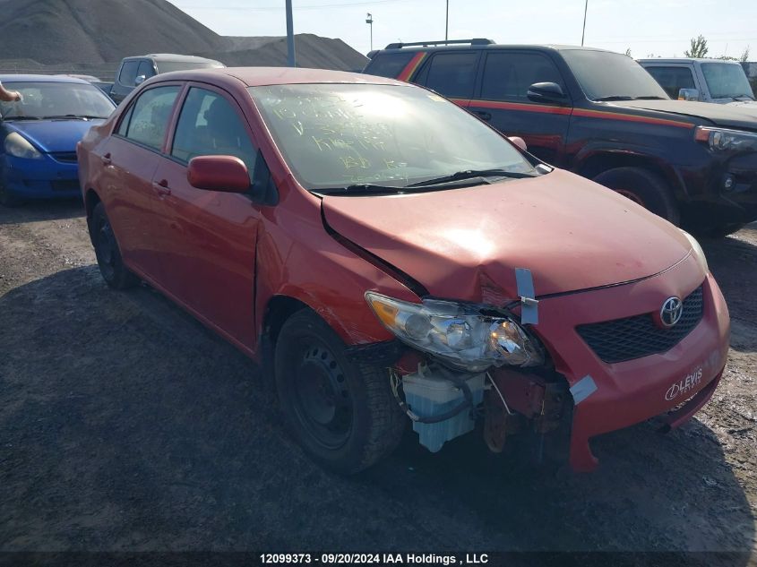 2010 Toyota Corolla VIN: 2T1BU4EE7AC379868 Lot: 12099373