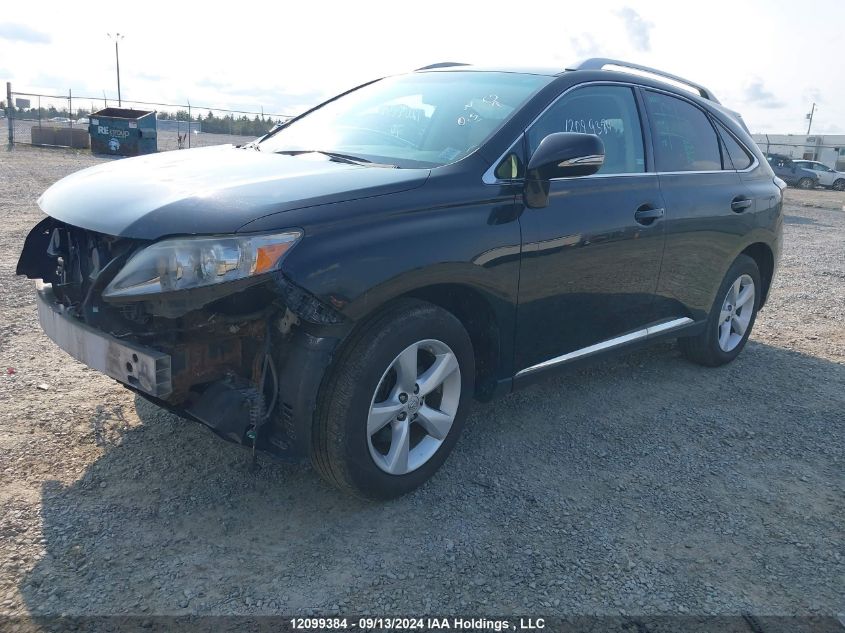 2010 Lexus Rx 350 VIN: 2T2BK1BA4AC006322 Lot: 12099384