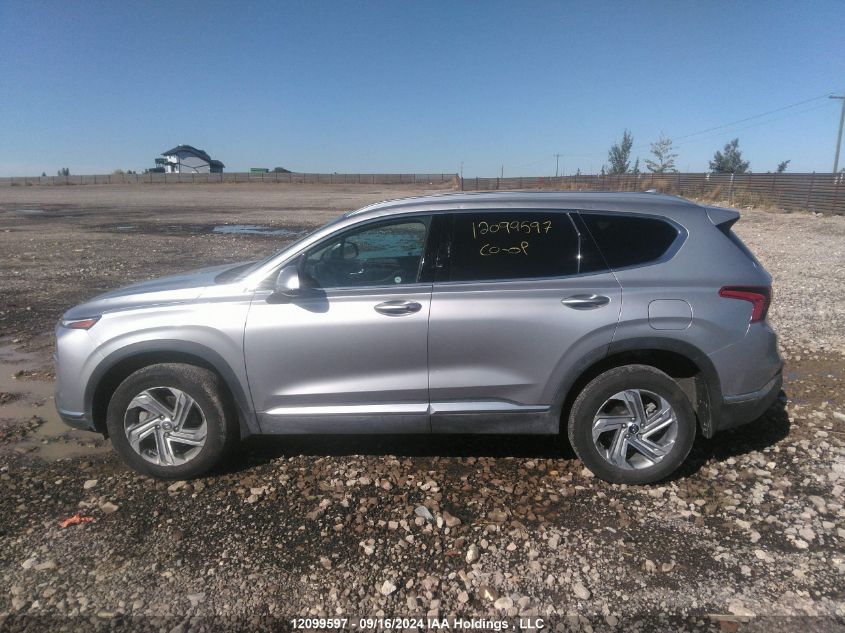 2023 Hyundai Santa Fe Preferred Awd VIN: 5NMS3DAJ0PH555152 Lot: 12099597