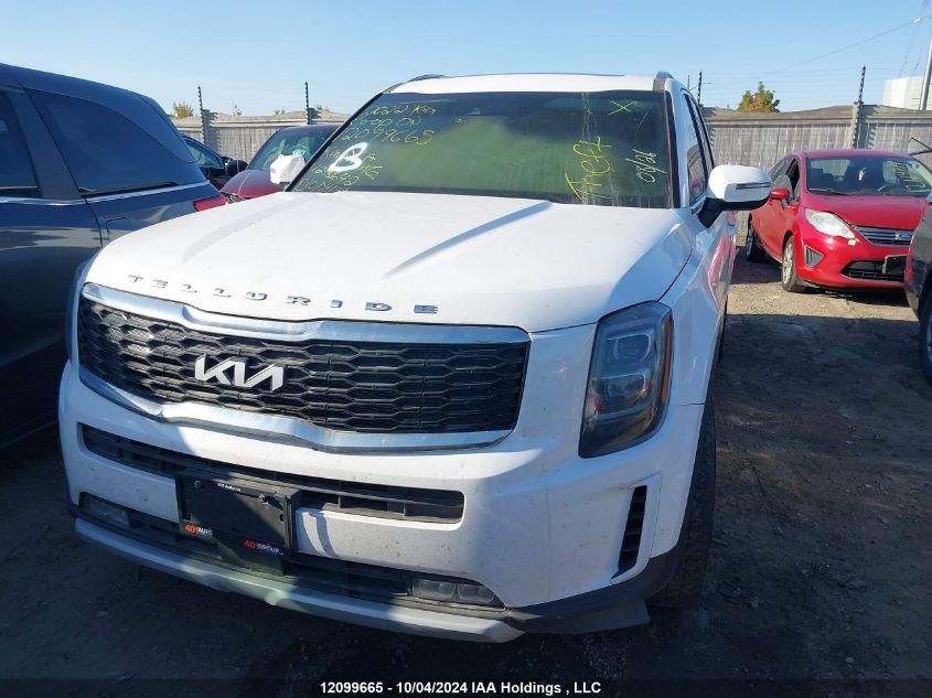 2022 Kia Telluride VIN: 5XYP3DHC0NG213642 Lot: 12099665