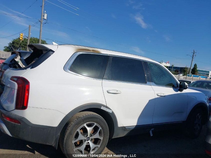 2022 Kia Telluride VIN: 5XYP3DHC0NG213642 Lot: 12099665