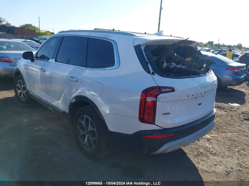 2022 Kia Telluride VIN: 5XYP3DHC0NG213642 Lot: 12099665