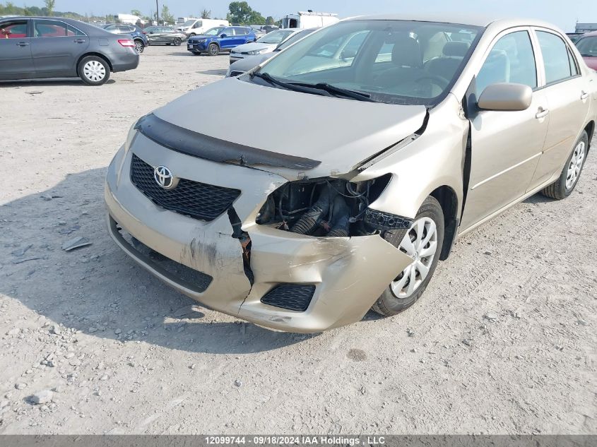 2010 Toyota Corolla VIN: 2T1BU4EE5AC452347 Lot: 12099744