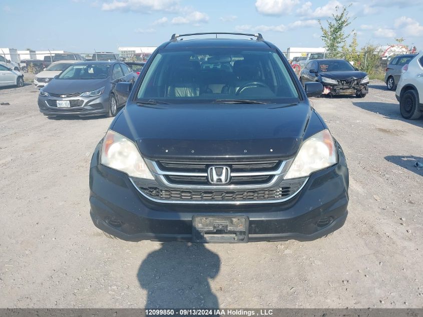 2010 Honda Cr-V VIN: 5J6RE4H71AL814850 Lot: 12099850