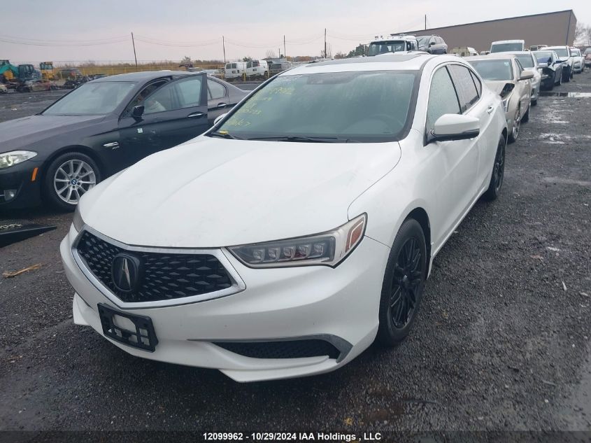 2018 Acura Tlx VIN: 19UUB1F5XJA800273 Lot: 12099962