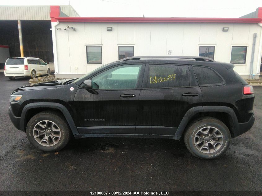 2020 Jeep Cherokee Trailhawk VIN: 1C4PJMBX1LD572009 Lot: 12100087