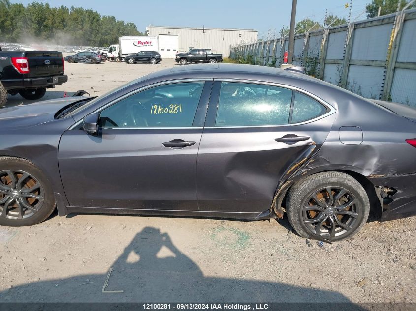 19UUB1F36JA800611 2018 Acura Tlx