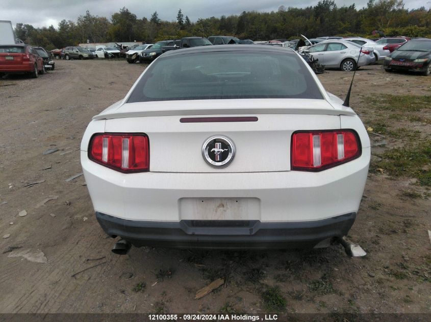 1ZVBP8AM0C5262528 2012 Ford Mustang