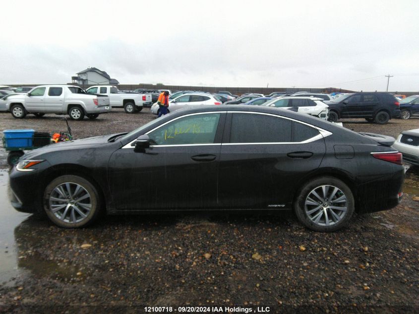 2021 Lexus Es 300H 300H VIN: 58AB21B15MU013117 Lot: 12100718