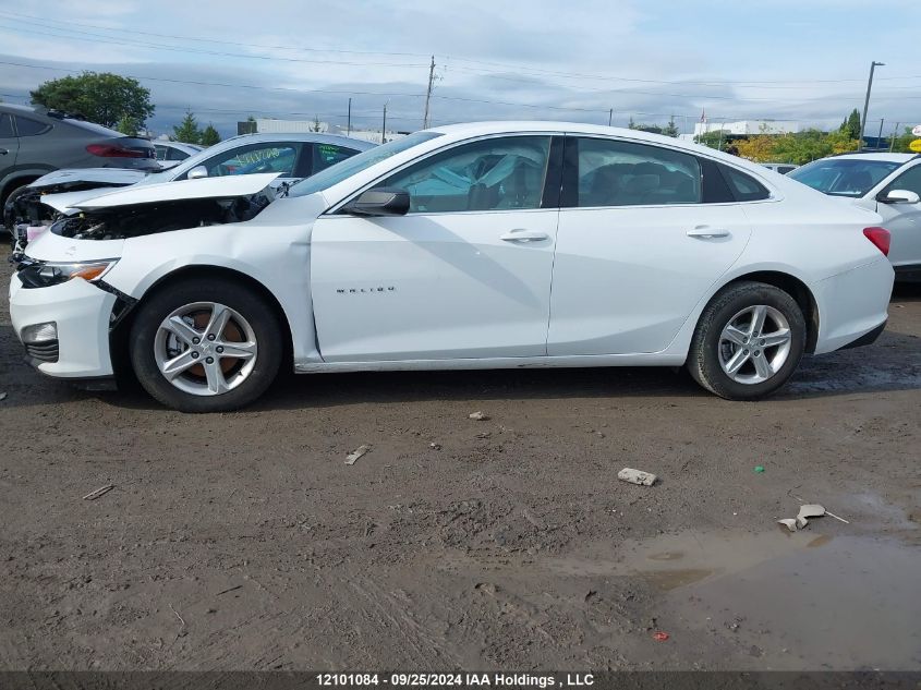 2020 Chevrolet Malibu VIN: 1G1ZC5ST0LF087671 Lot: 12101084