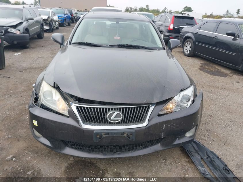 2009 Lexus Is 250 VIN: JTHCK262695032039 Lot: 12101198