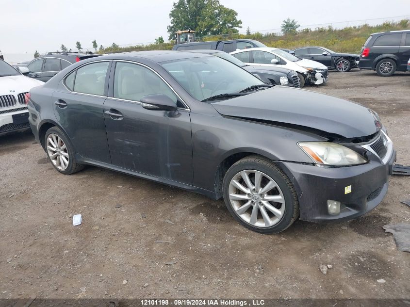 2009 Lexus Is 250 VIN: JTHCK262695032039 Lot: 12101198