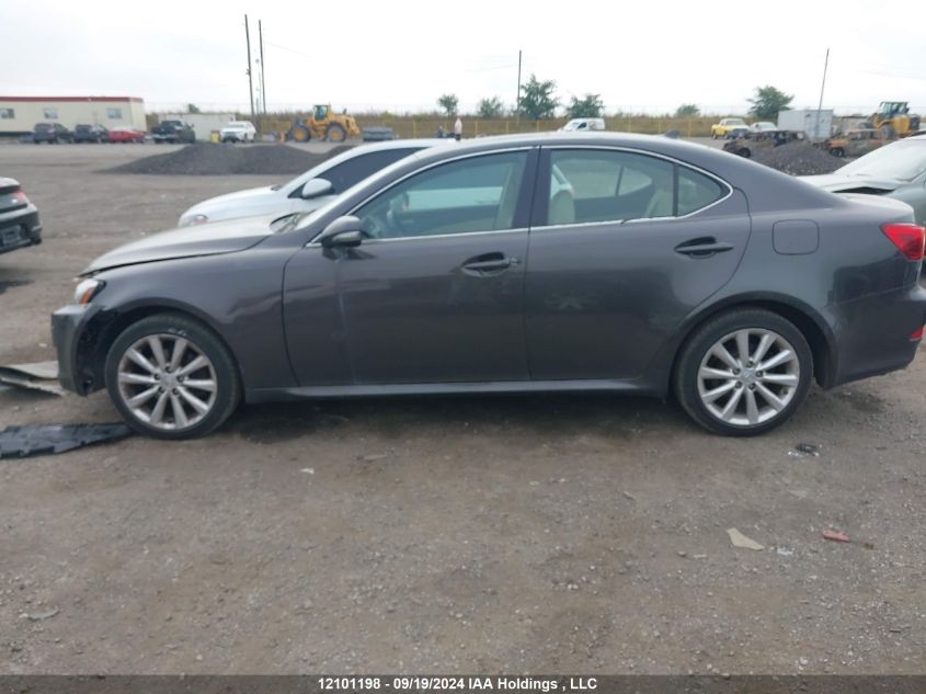 2009 Lexus Is 250 VIN: JTHCK262695032039 Lot: 12101198