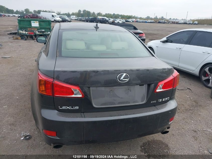 2009 Lexus Is 250 VIN: JTHCK262695032039 Lot: 12101198