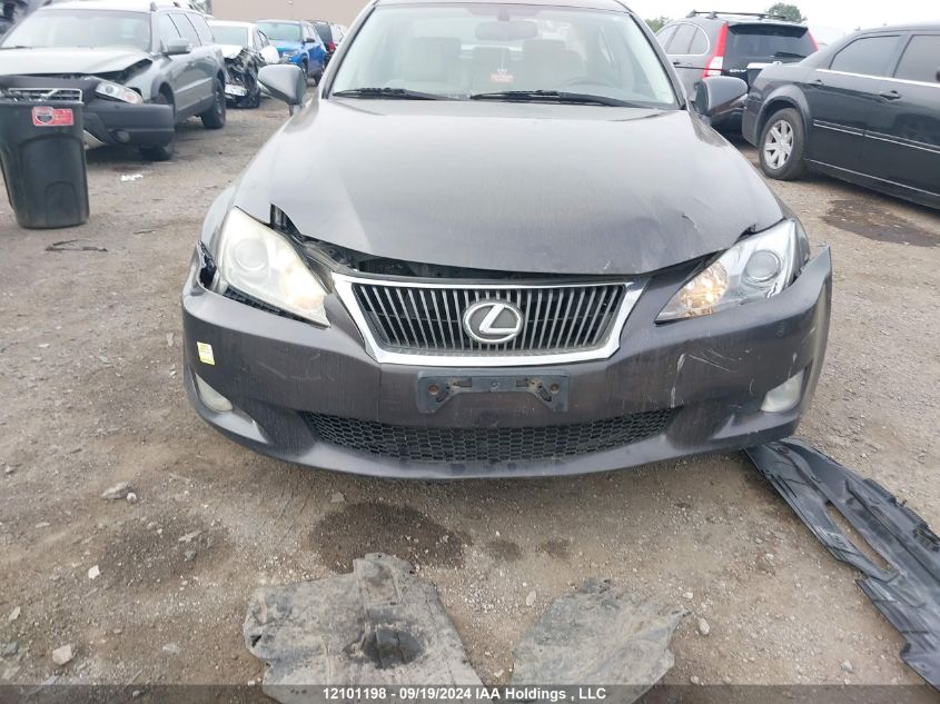 2009 Lexus Is 250 VIN: JTHCK262695032039 Lot: 12101198