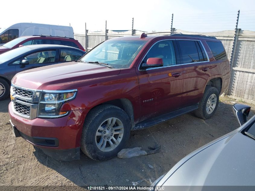 2019 Chevrolet Tahoe VIN: 1GNSKAKC2KR280008 Lot: 12101521