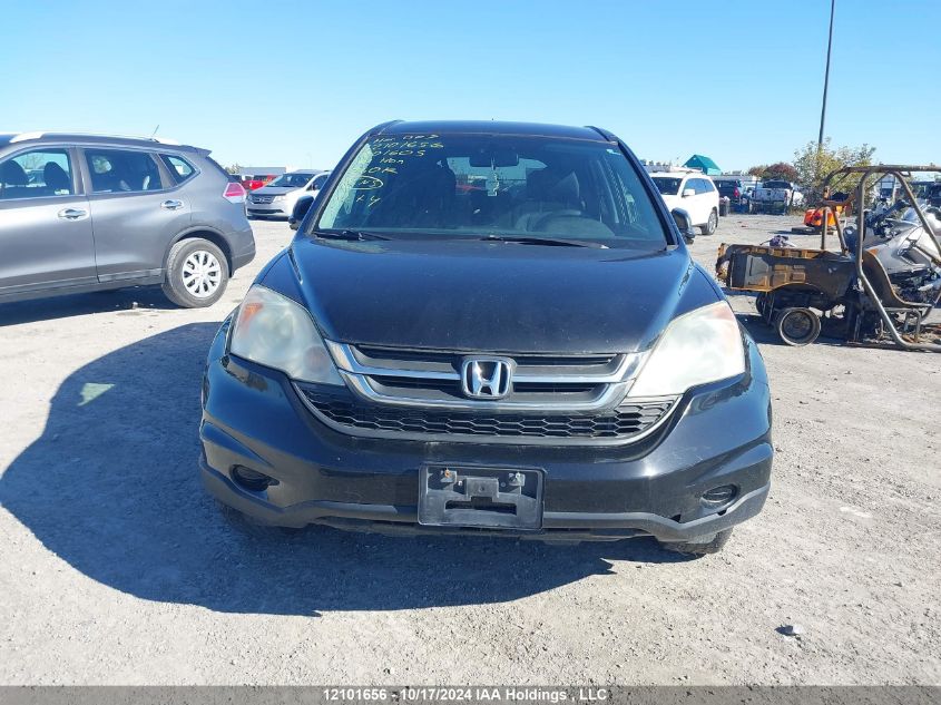 2010 Honda Cr-V VIN: 5J6RE3H31AL801605 Lot: 12101656