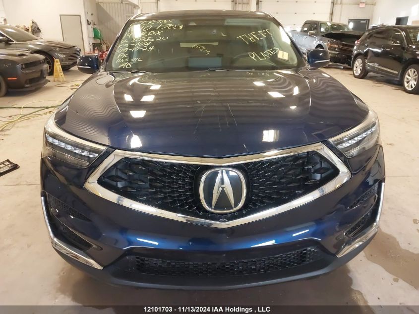 2019 Acura Rdx VIN: 5J8TC2H77KL802520 Lot: 12101703